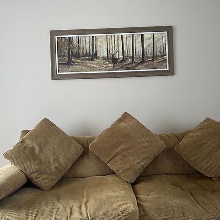 The Nest Villa Belfast Dış mekan fotoğraf